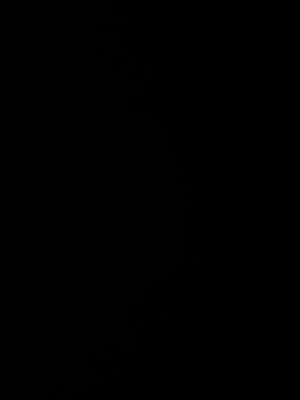 A150f99e729634281987ba575369c3590G.jpg